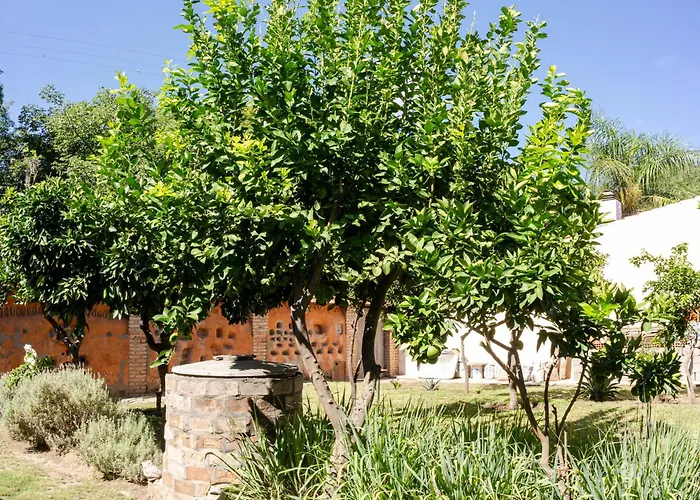 Ocampo Catamarca