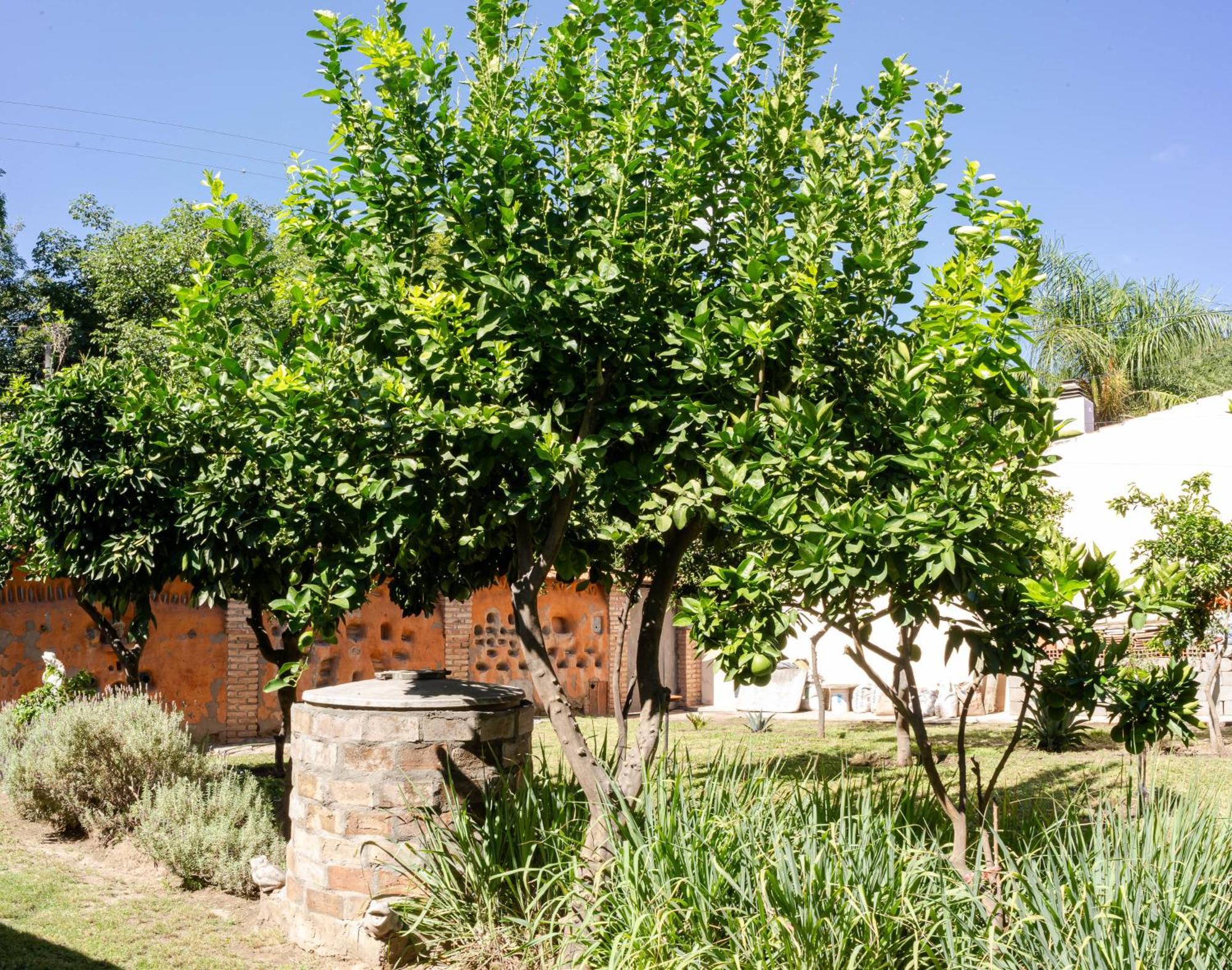 Ocampo Catamarca Apartment San Fernando del Valle de Catamarca