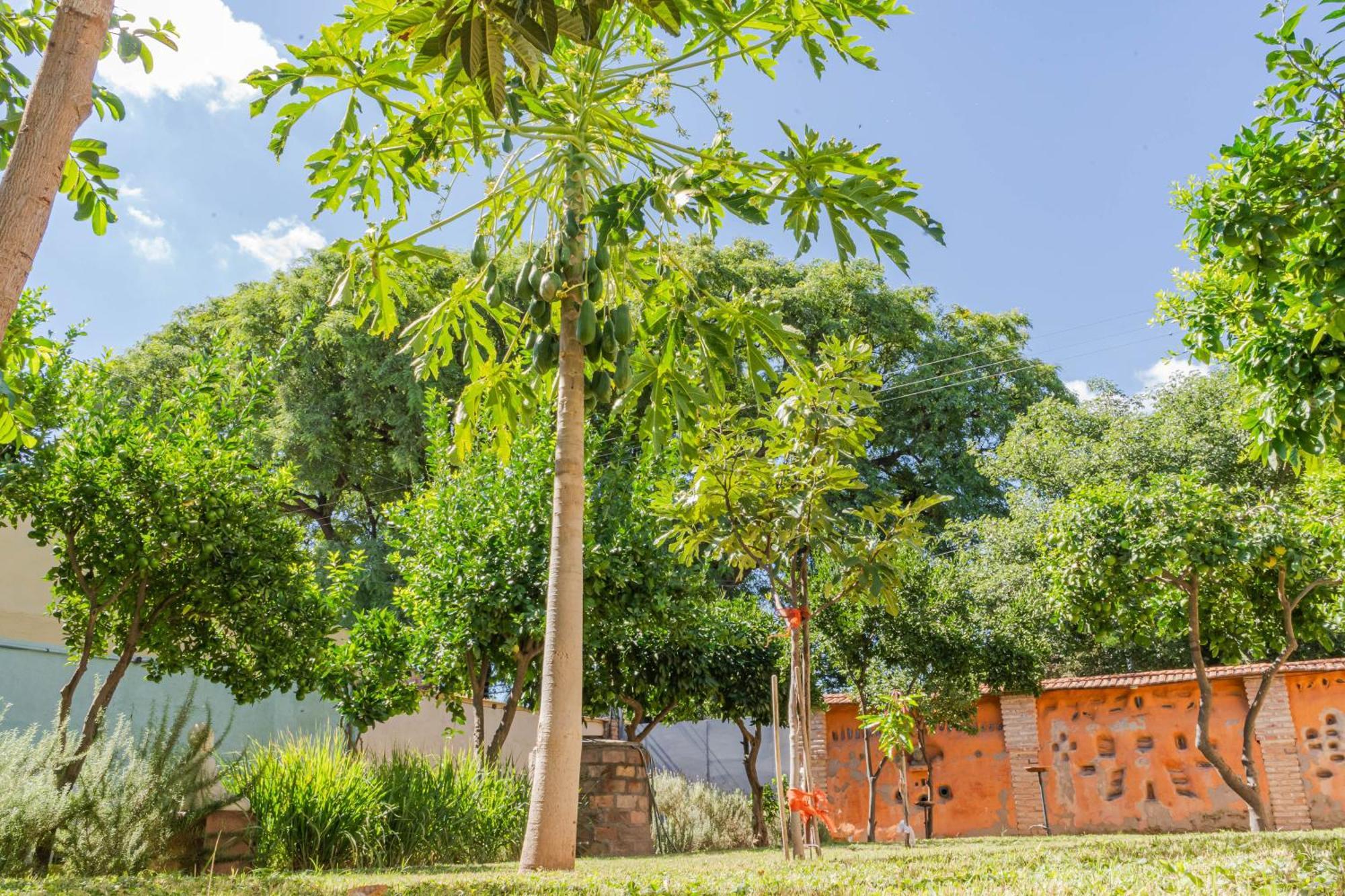 Ocampo Catamarca Apartment